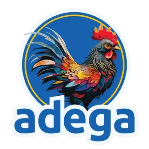 Adega Cedar Square