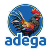 Adega Go at The Marc